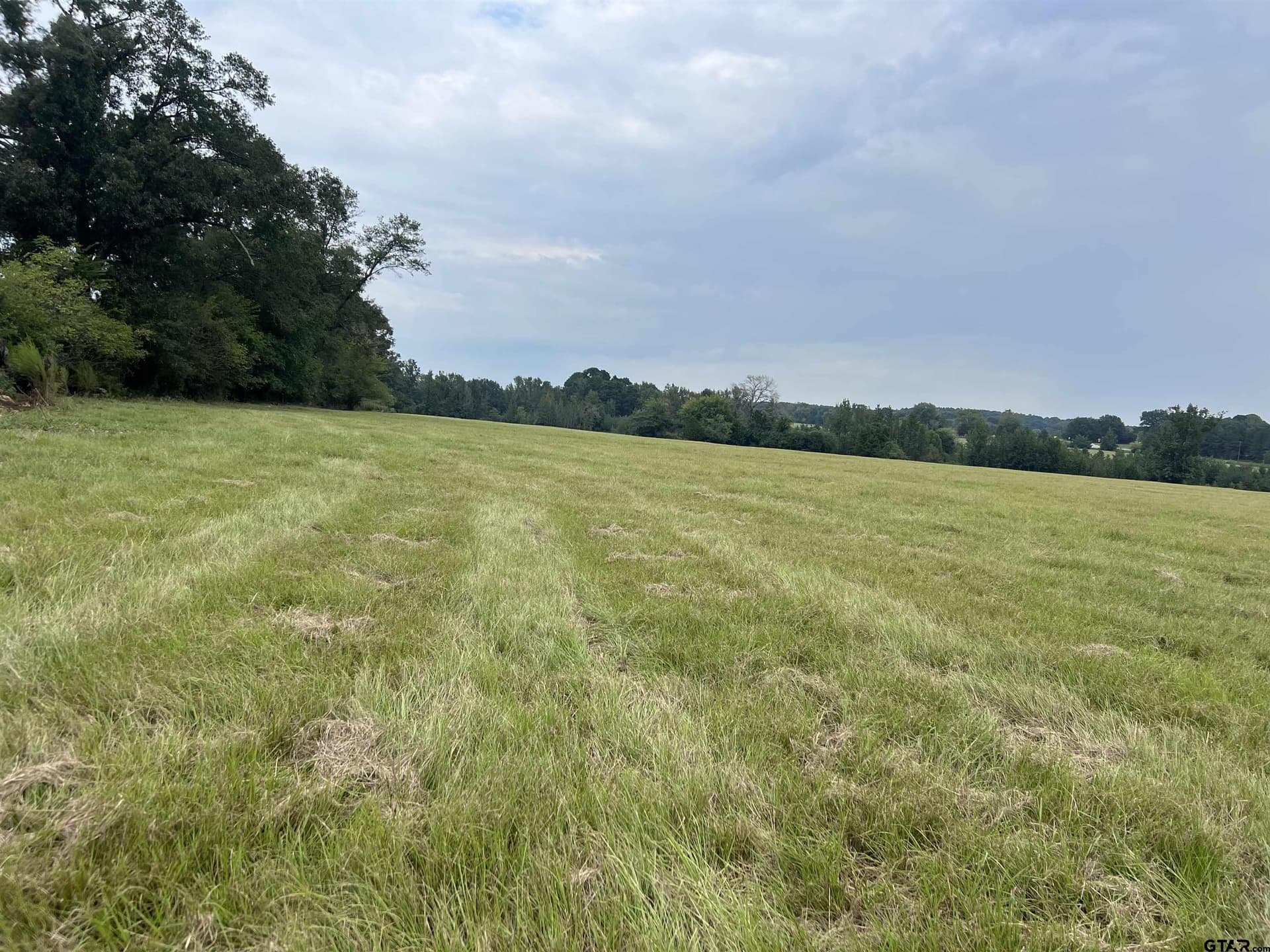 41.89 acres in Cass County - photo 6