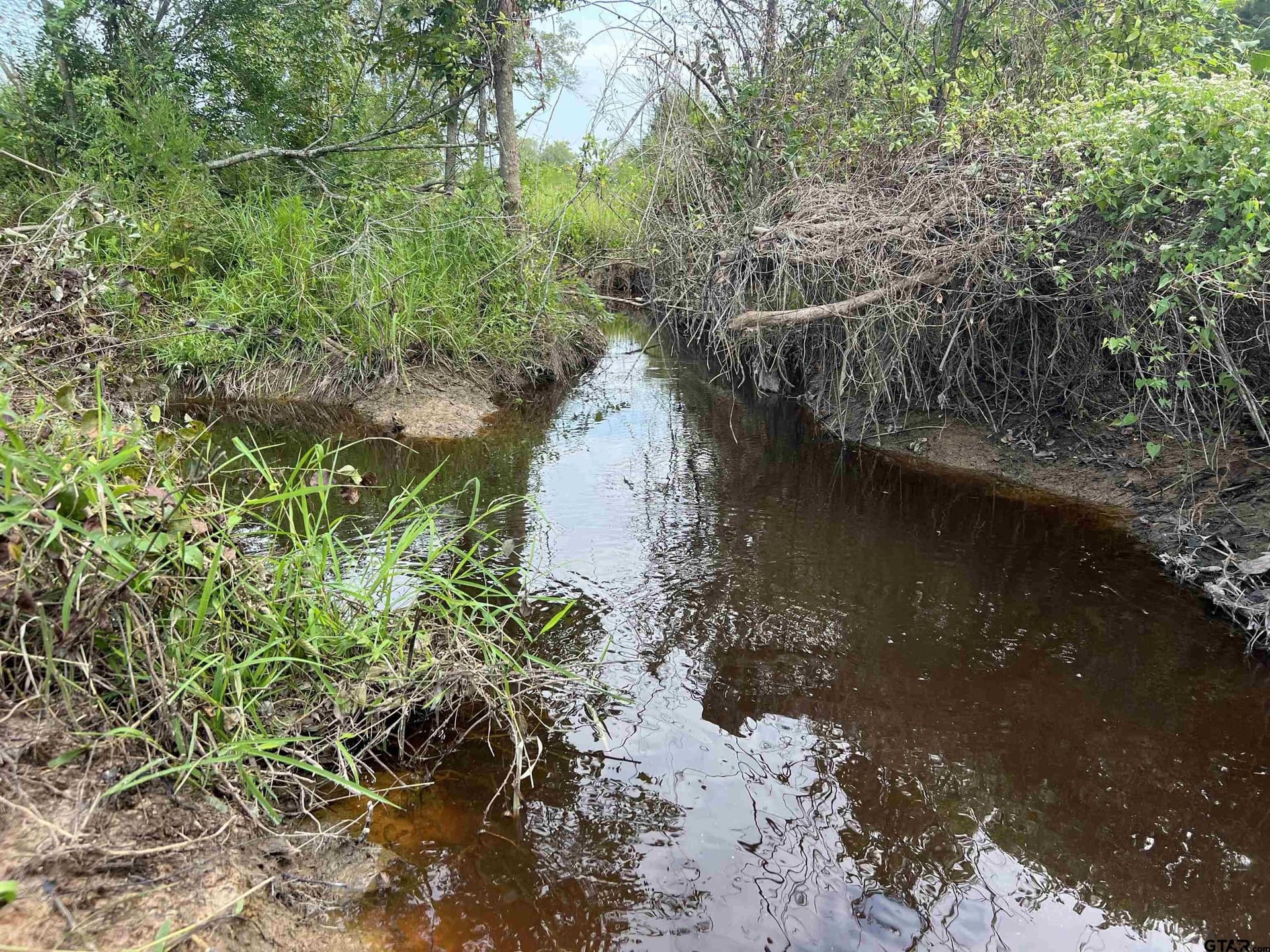 41.89 acres in Cass County - photo 12