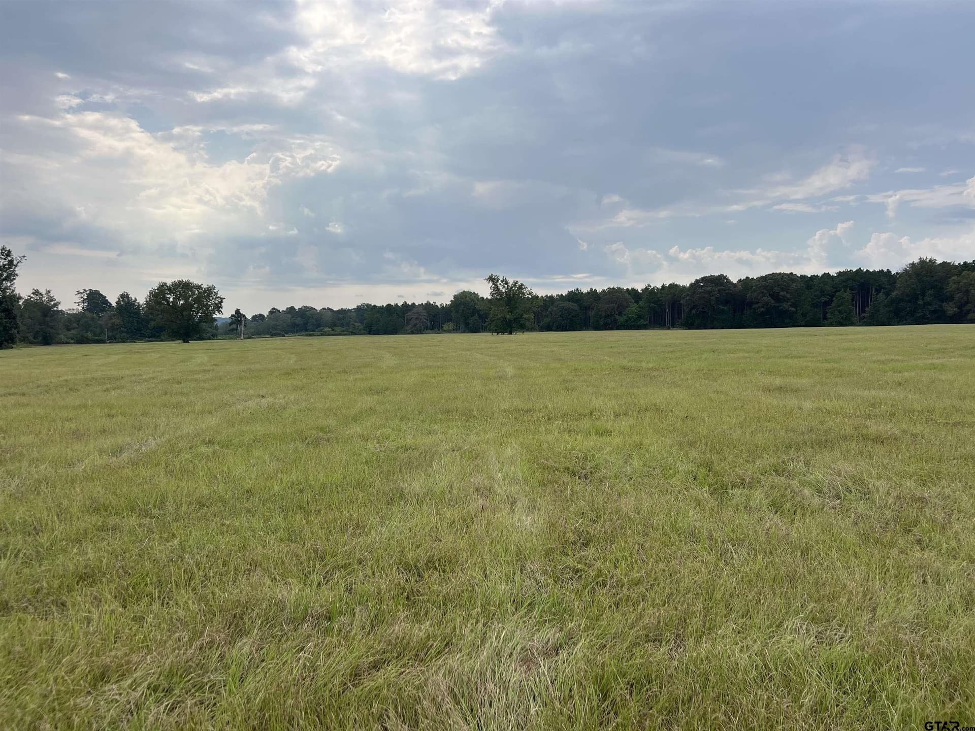 41.89 acres in Cass County - photo 13