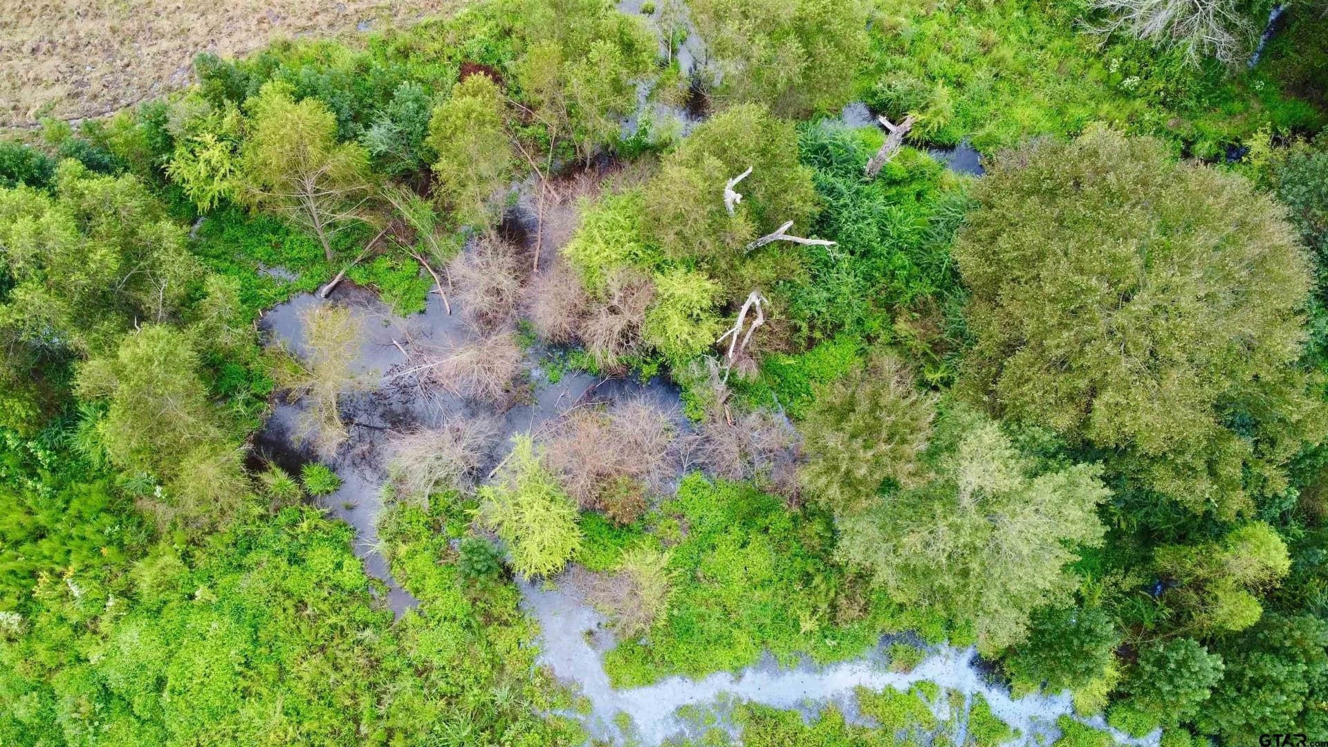 41.89 acres in Cass County - photo 10