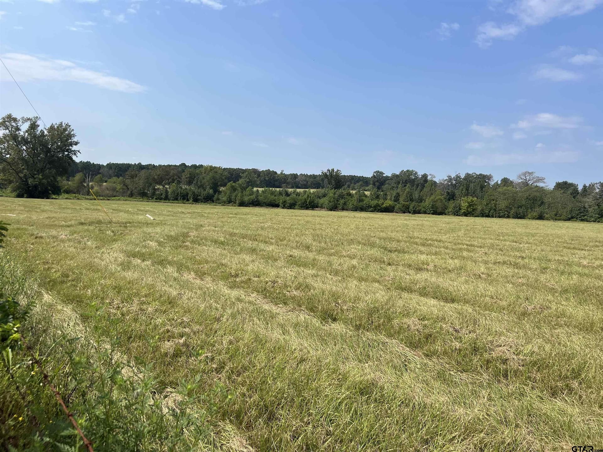 41.89 acres in Cass County - photo 11