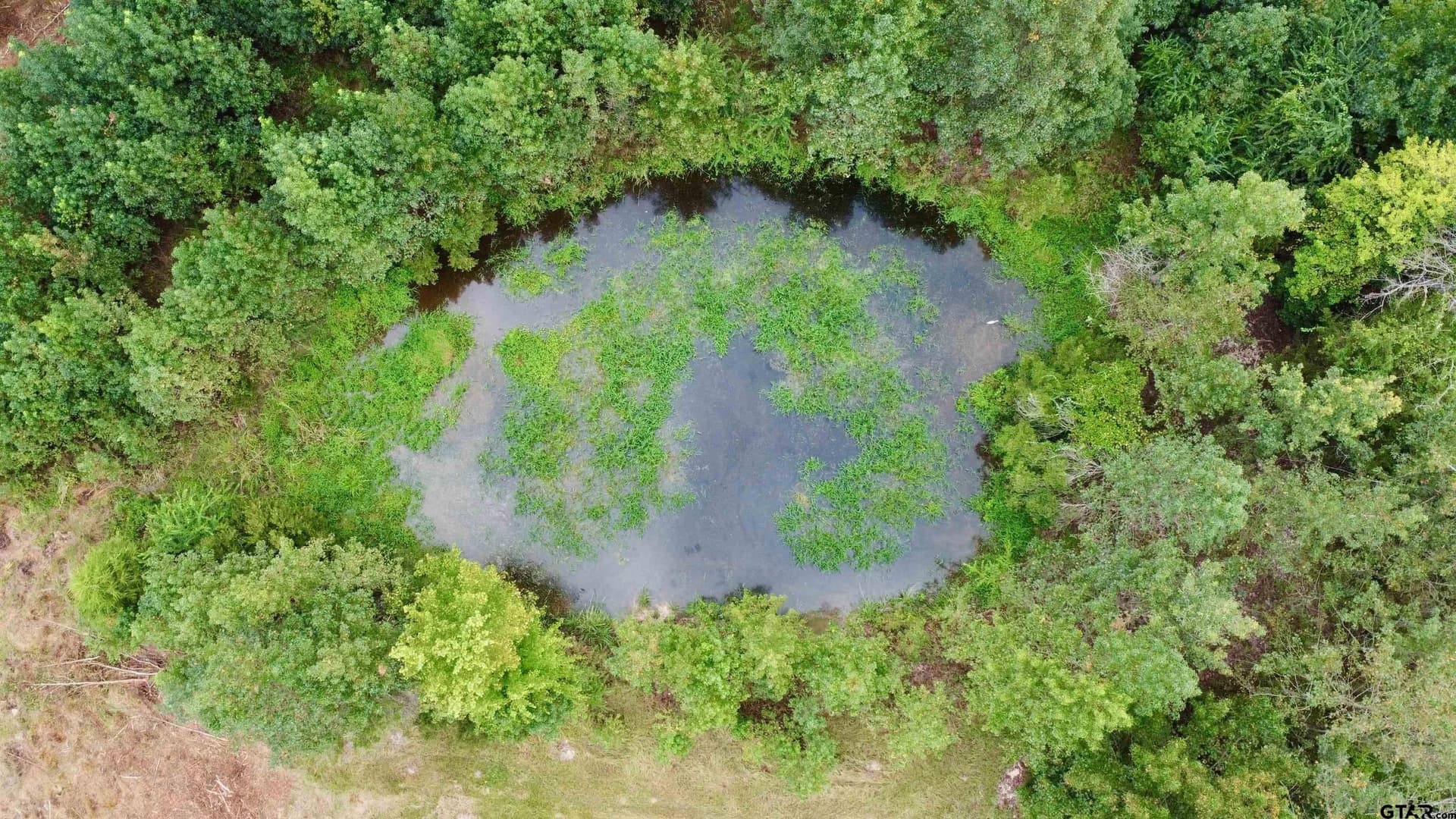 41.89 acres in Cass County - photo 3