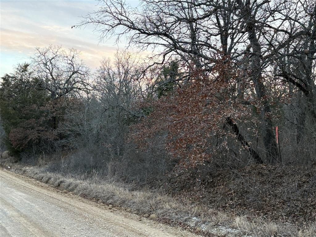 0.48 acres in Montague County - photo 3