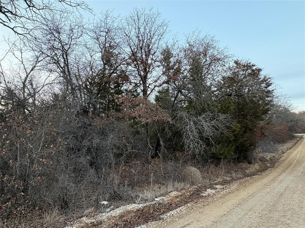 0.48 acres in Montague County - photo 5