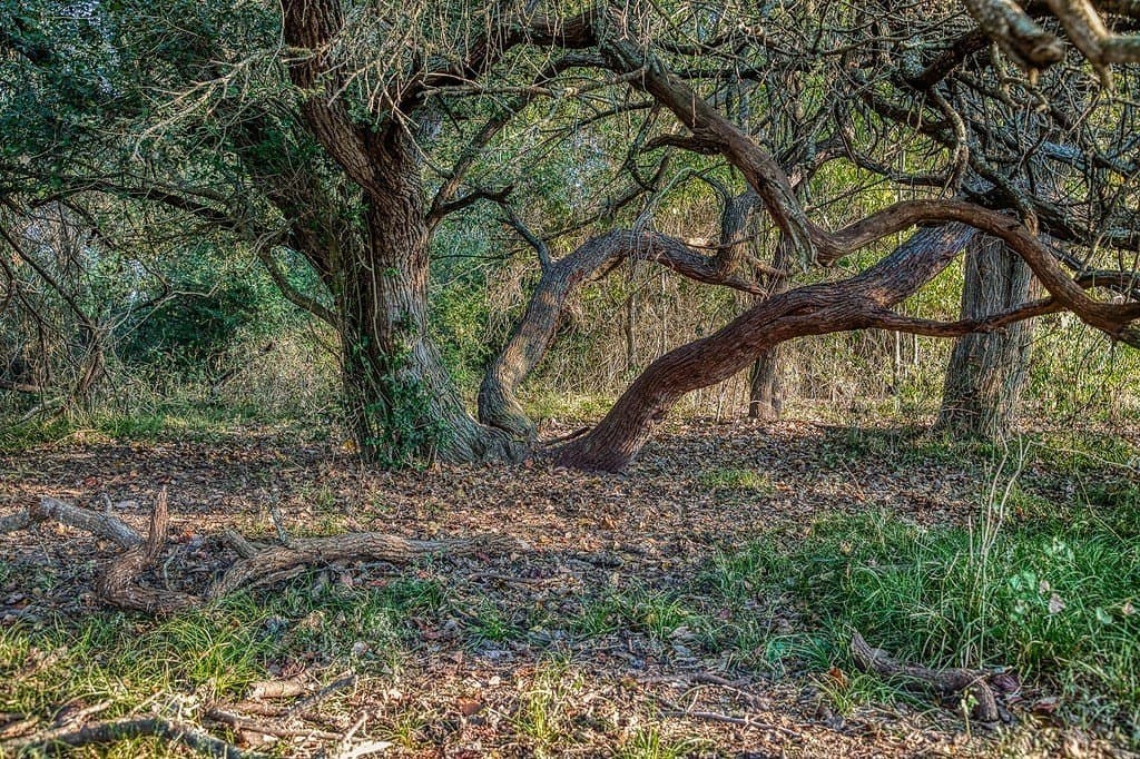 47 acres in Washington County - photo 15