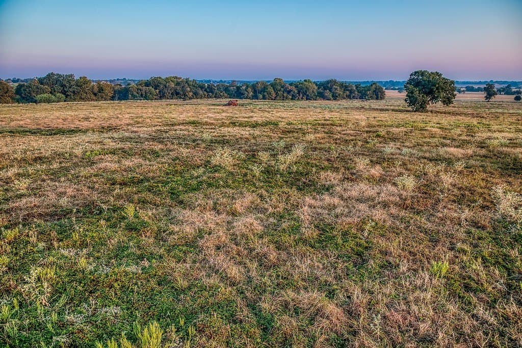 47 acres in Washington County - photo 22