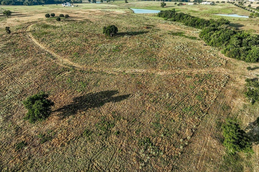 47 acres in Washington County - photo 8