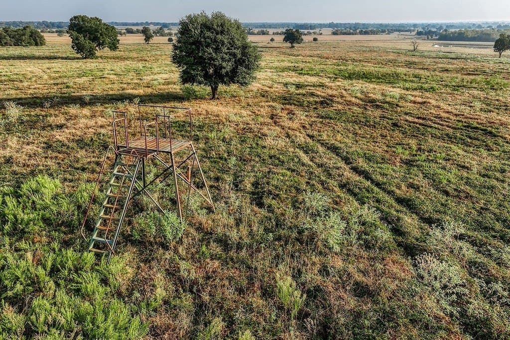47 acres in Washington County - photo 5