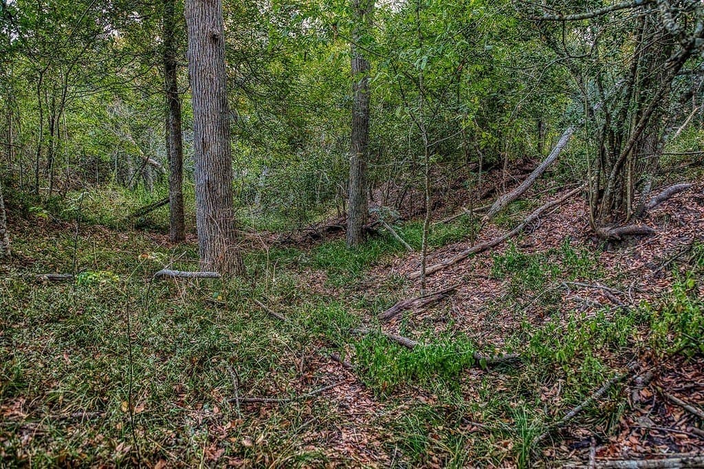 47 acres in Washington County - photo 16