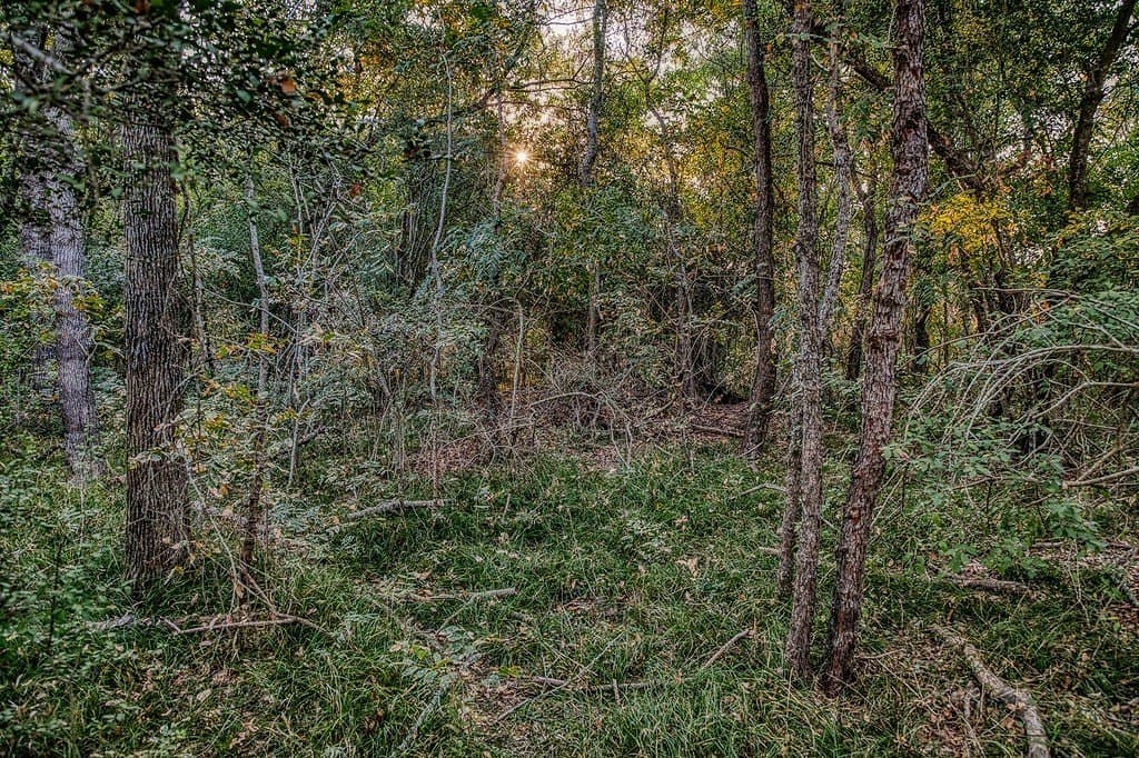 47 acres in Washington County - photo 17