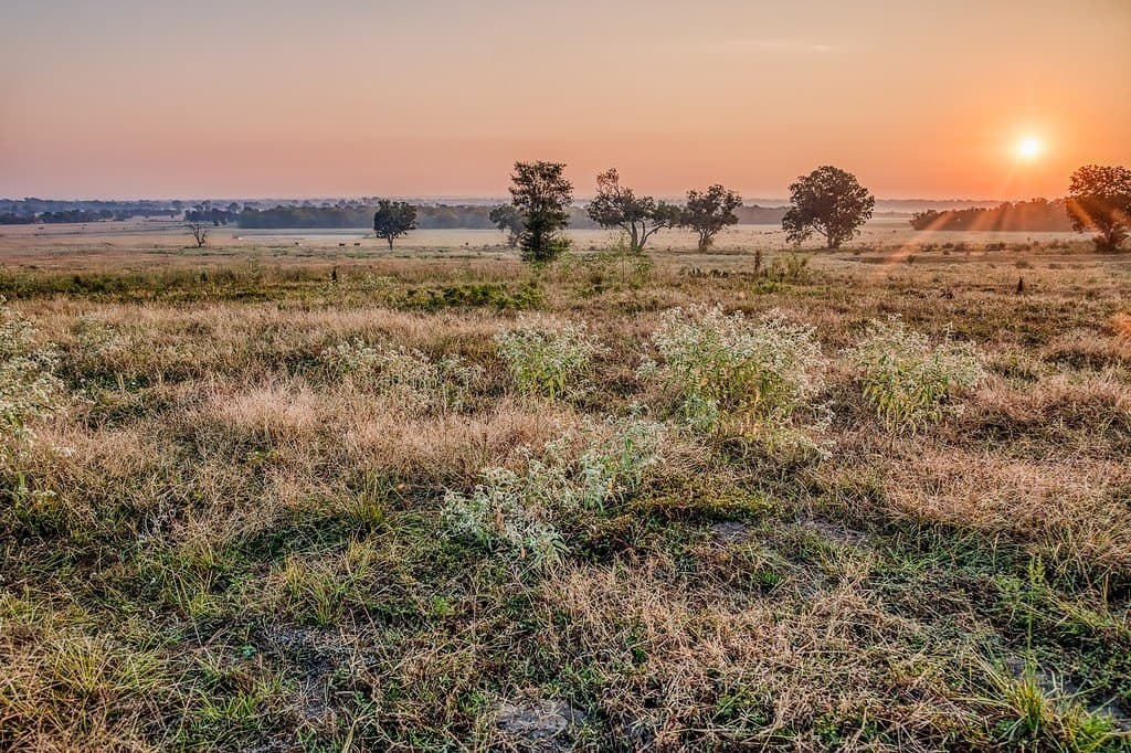 47 acres in Washington County - photo 24