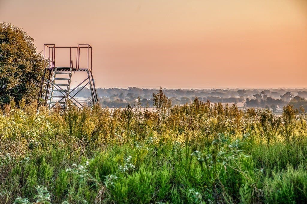 47 acres in Washington County - photo 9