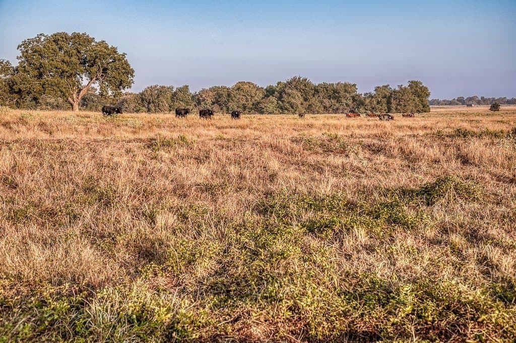 47 acres in Washington County - photo 19
