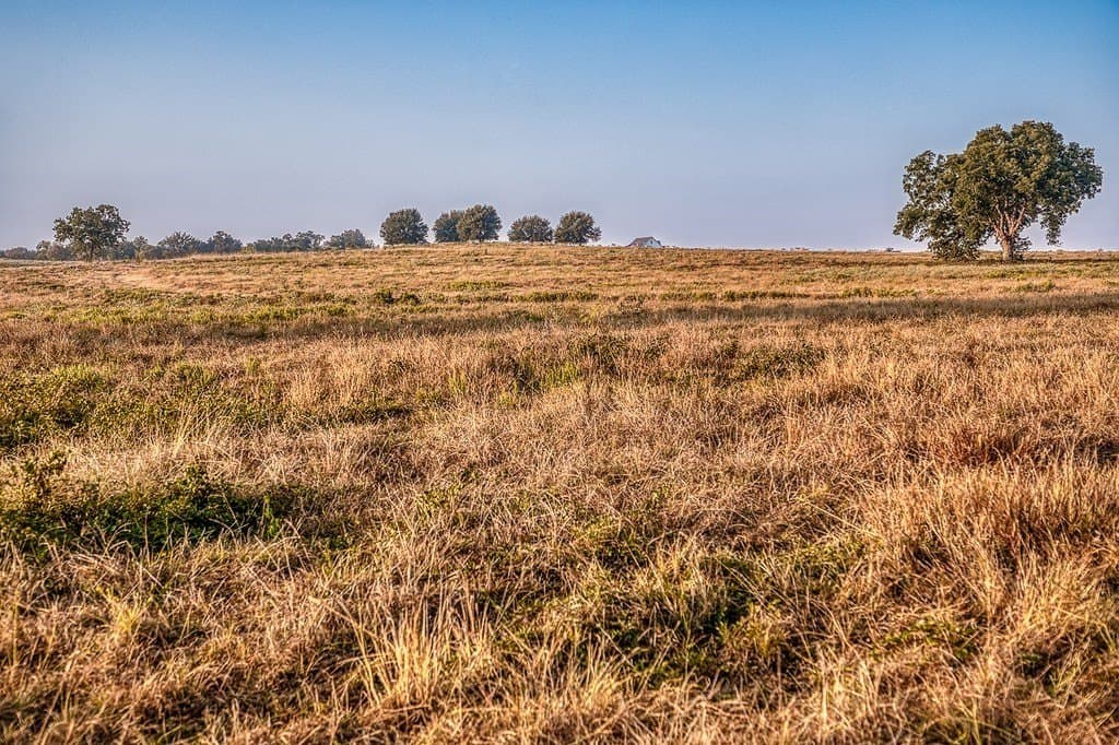47 acres in Washington County - photo 18