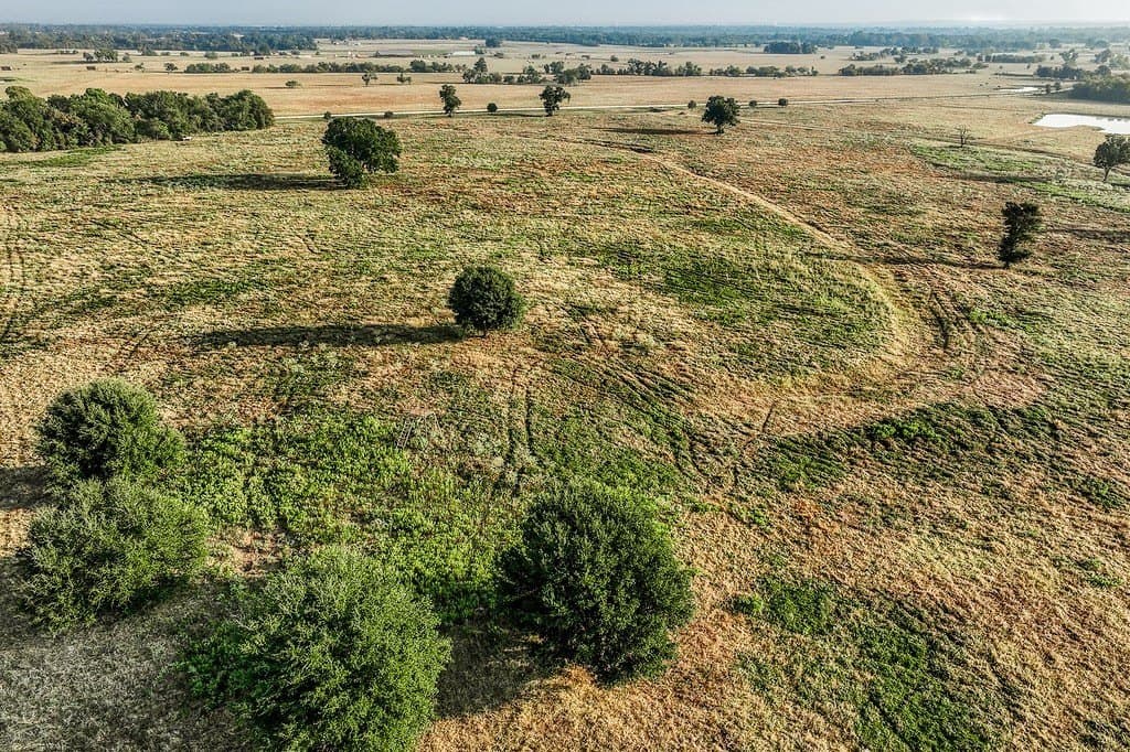 47 acres in Washington County - photo 4