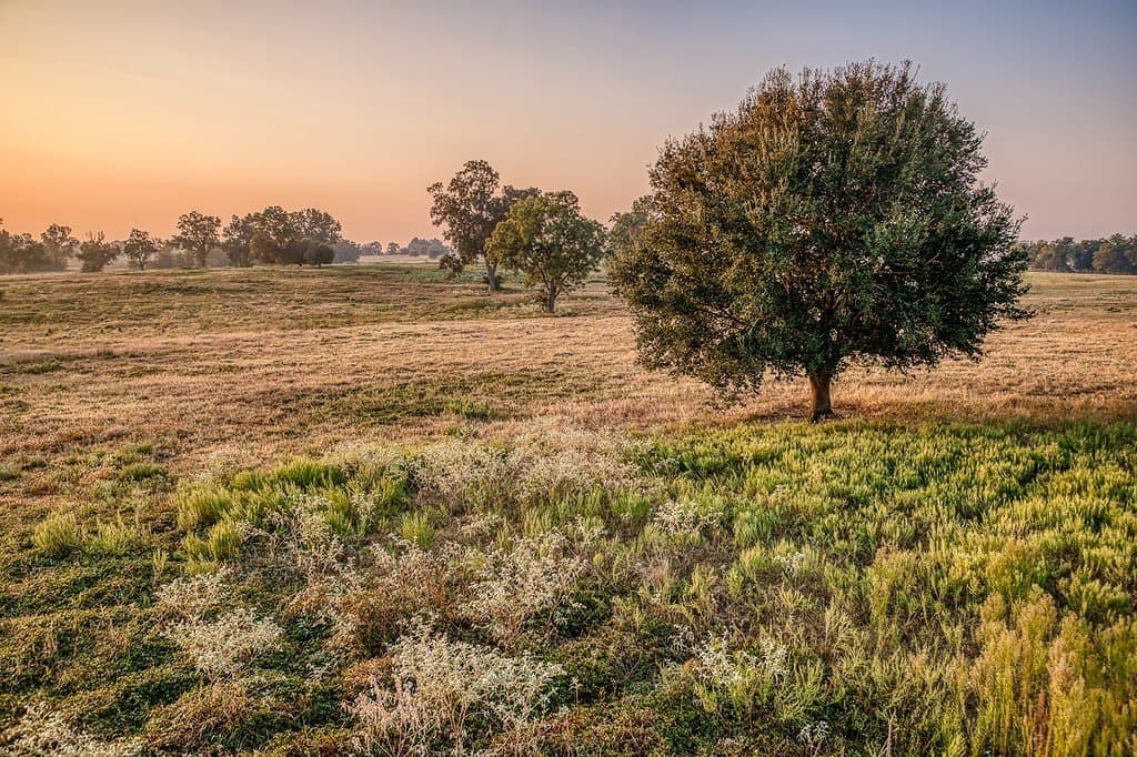47 acres in Washington County - photo 21