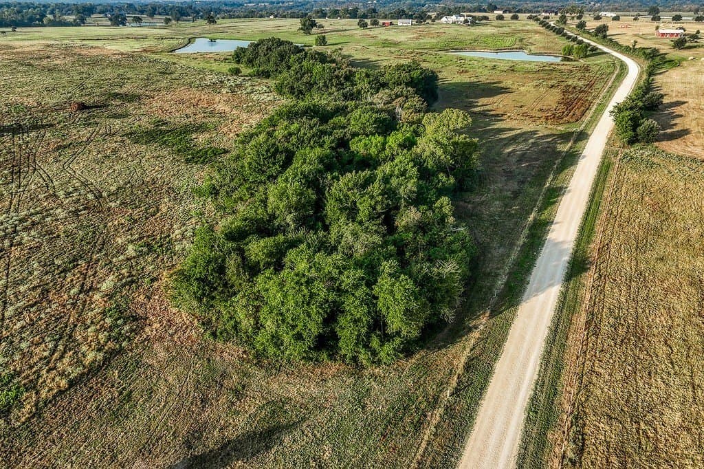 47 acres in Washington County - photo 7
