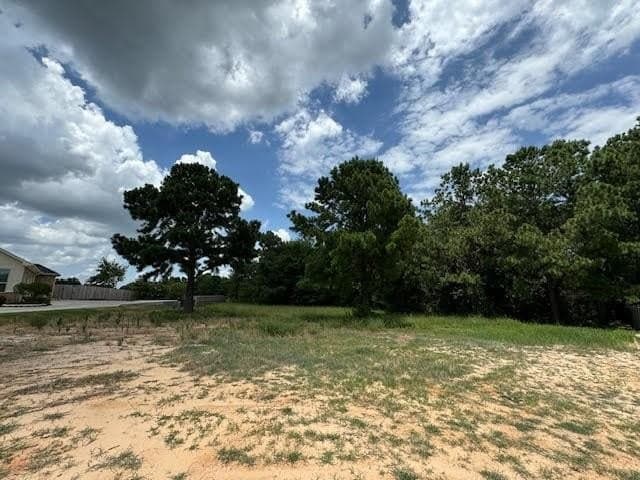 0.74 acres in Smith County - photo 4