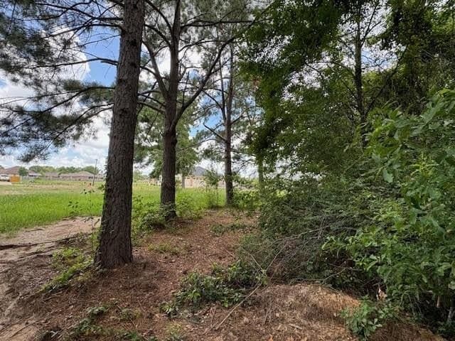 0.74 acres in Smith County - photo 5