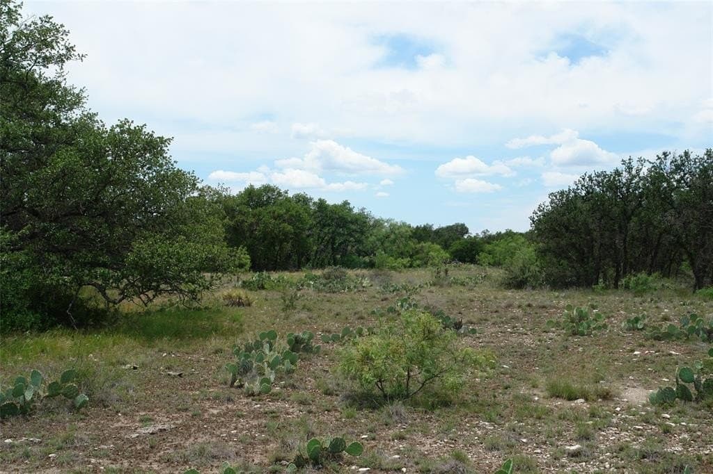 50.03 acres in Concho County - photo 2