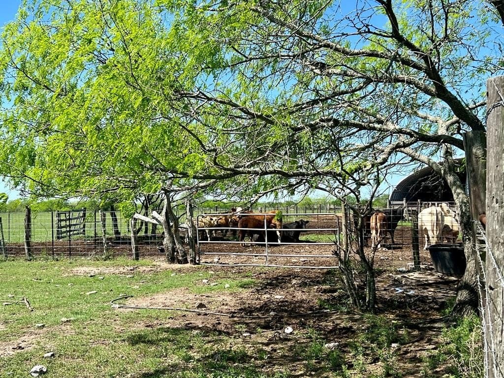 29.99 acres in Texas County - photo 17
