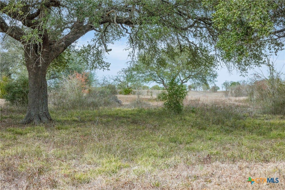 23.59 acres in Fayette County - photo 7