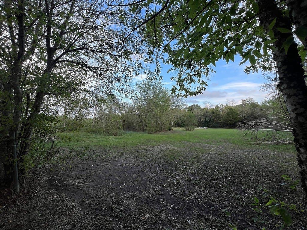 15.05 acres in Austin County - photo 3
