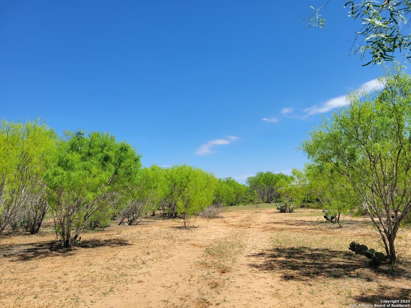 10 acres in Medina County - photo 35