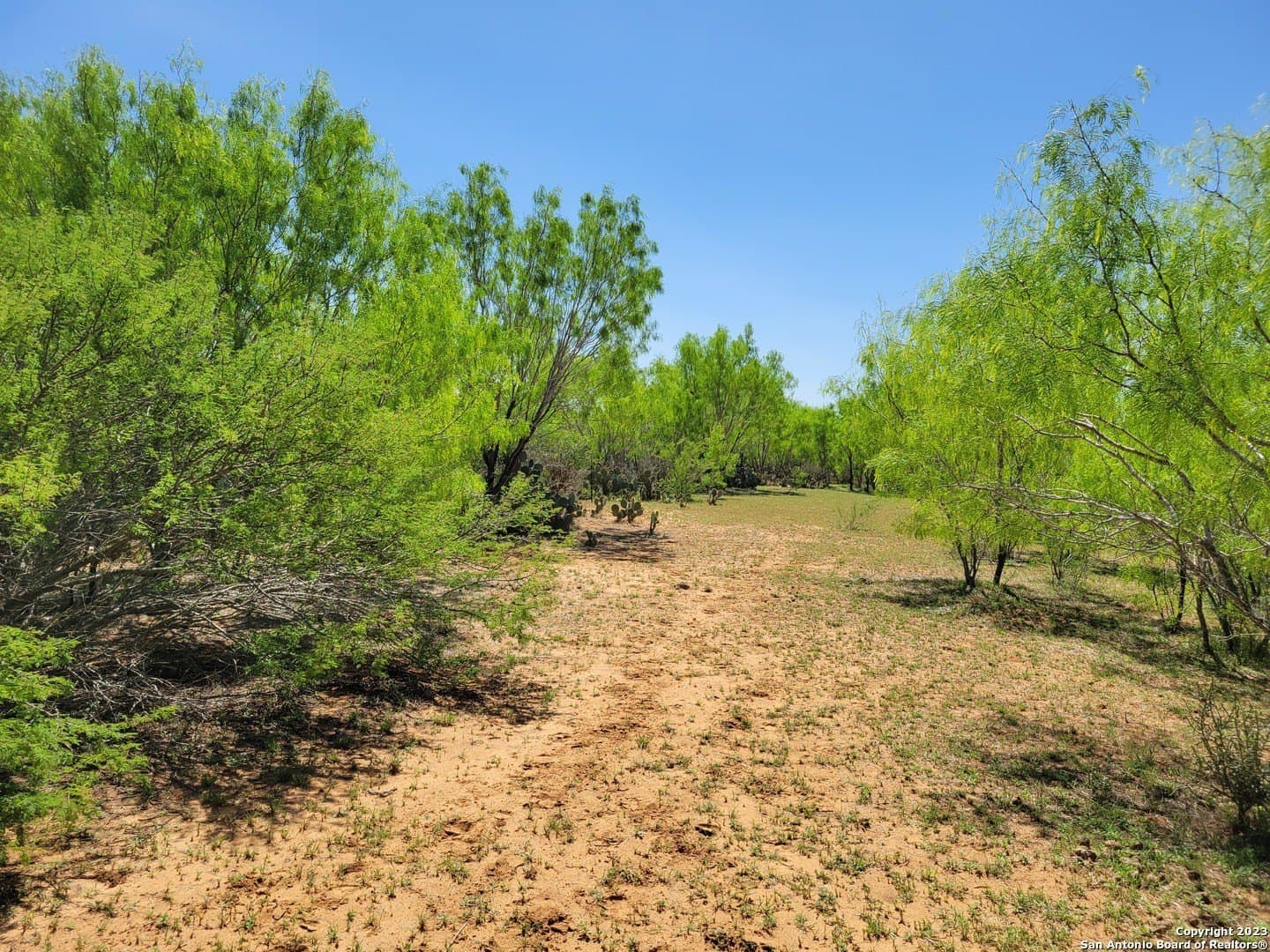 10 acres in Medina County - photo 40