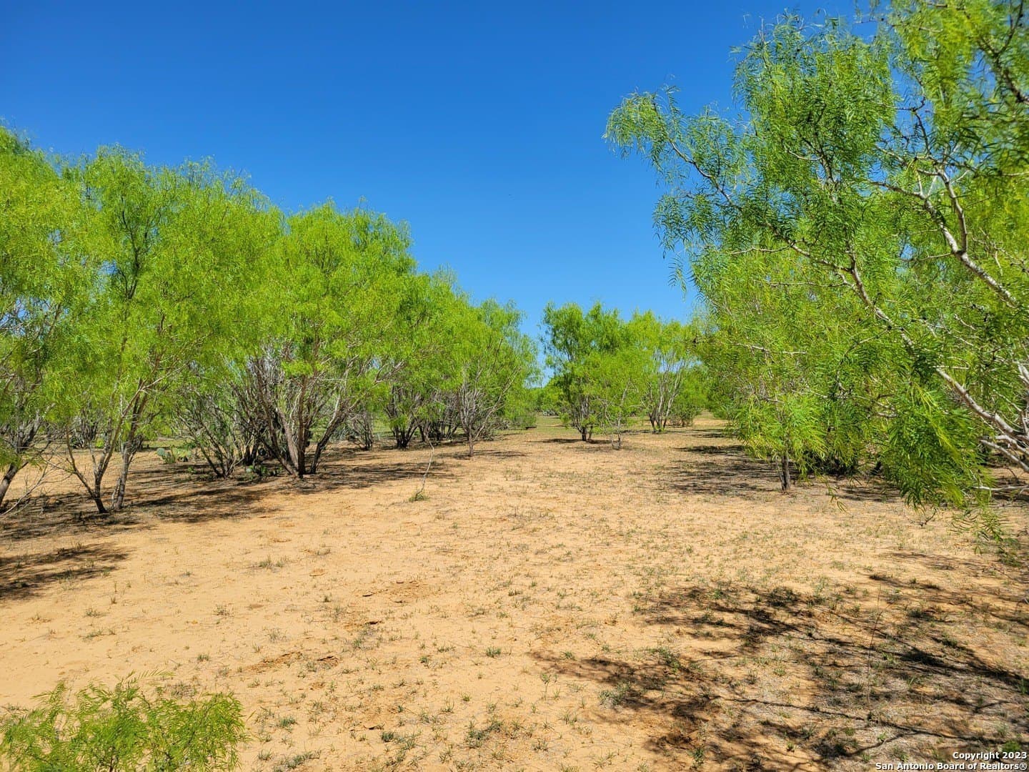10 acres in Medina County - photo 41