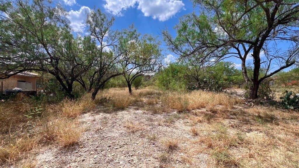 12,375 acres in Maverick County - photo 16