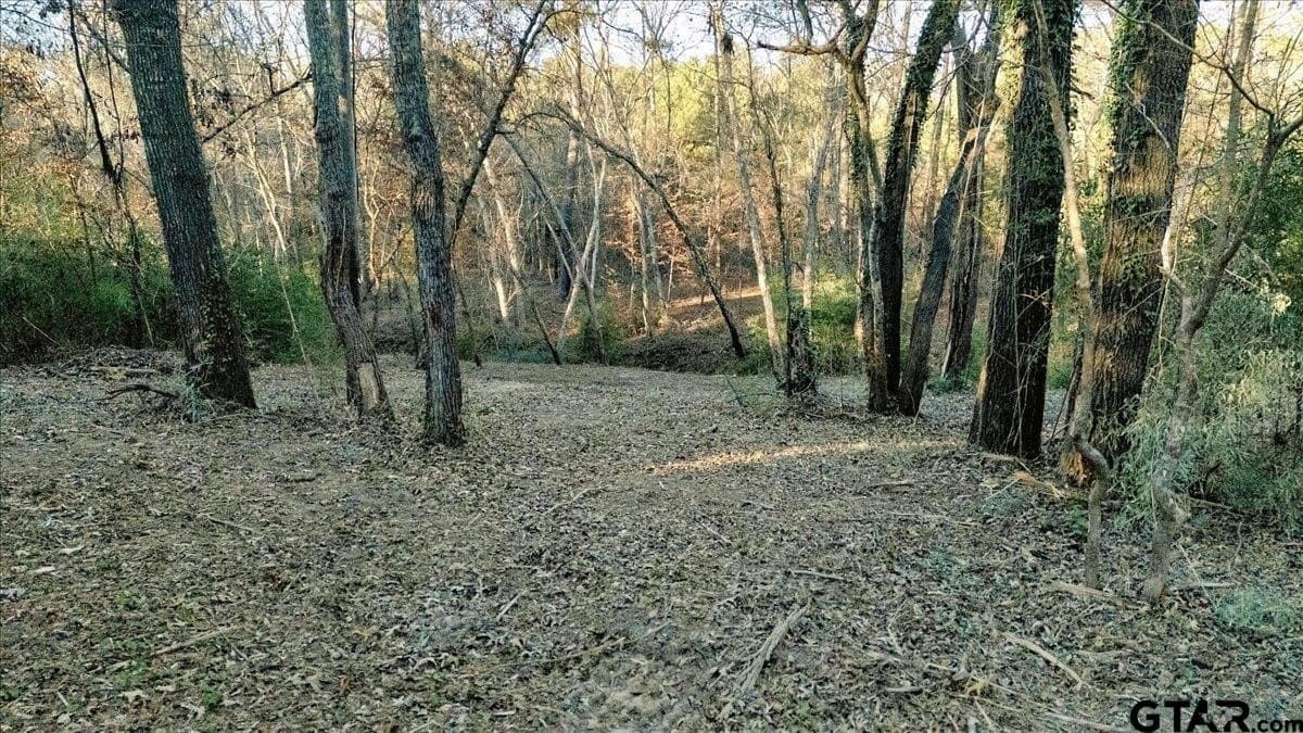 8.14 acres in Smith County - photo 5