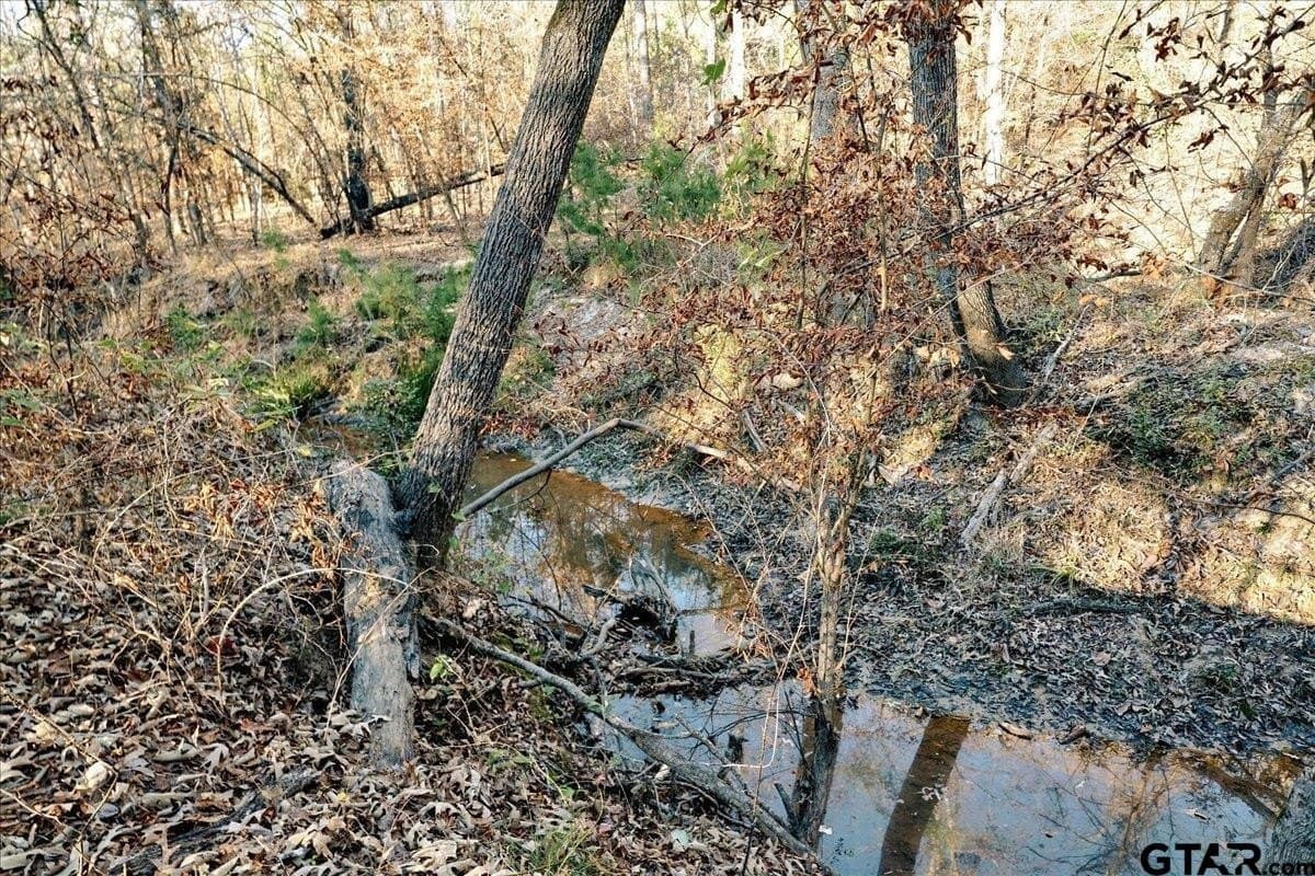 8.14 acres in Smith County - photo 31