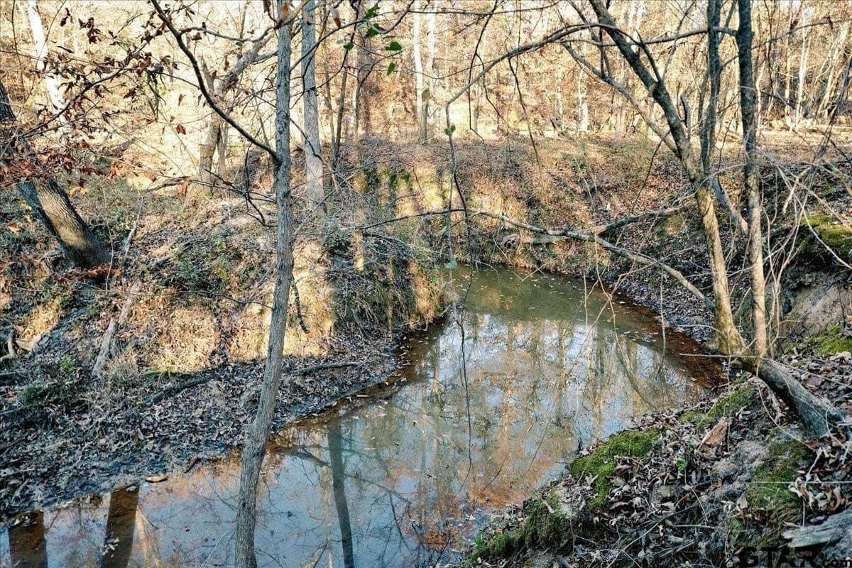 8.14 acres in Smith County - photo 32