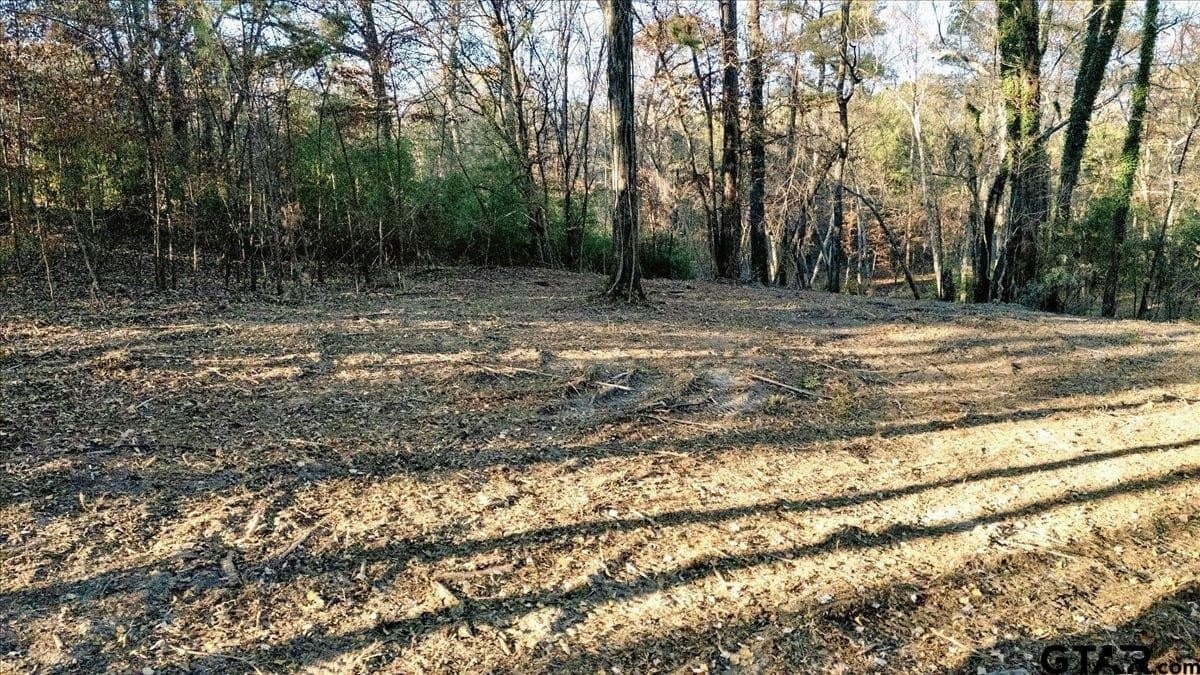 8.14 acres in Smith County - photo 7