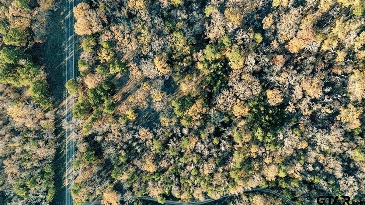 8.14 acres in Smith County - photo 16