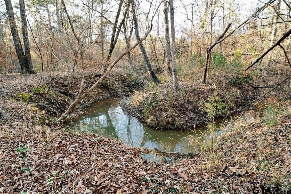 8.14 acres in Smith County - photo 30