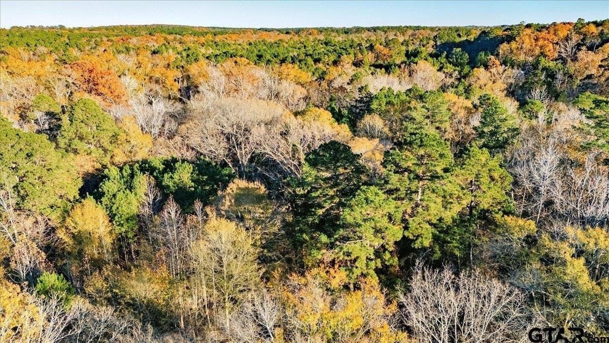 8.14 acres in Smith County - photo 10