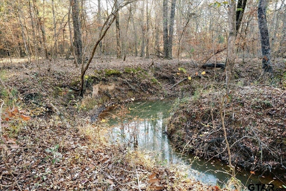 8.14 acres in Smith County - photo 28