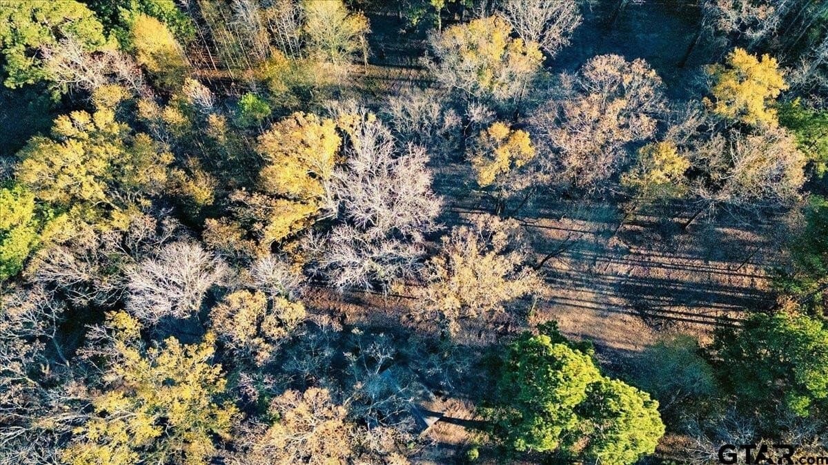 8.14 acres in Smith County - photo 13