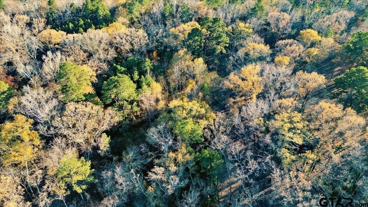 8.14 acres in Smith County - photo 12