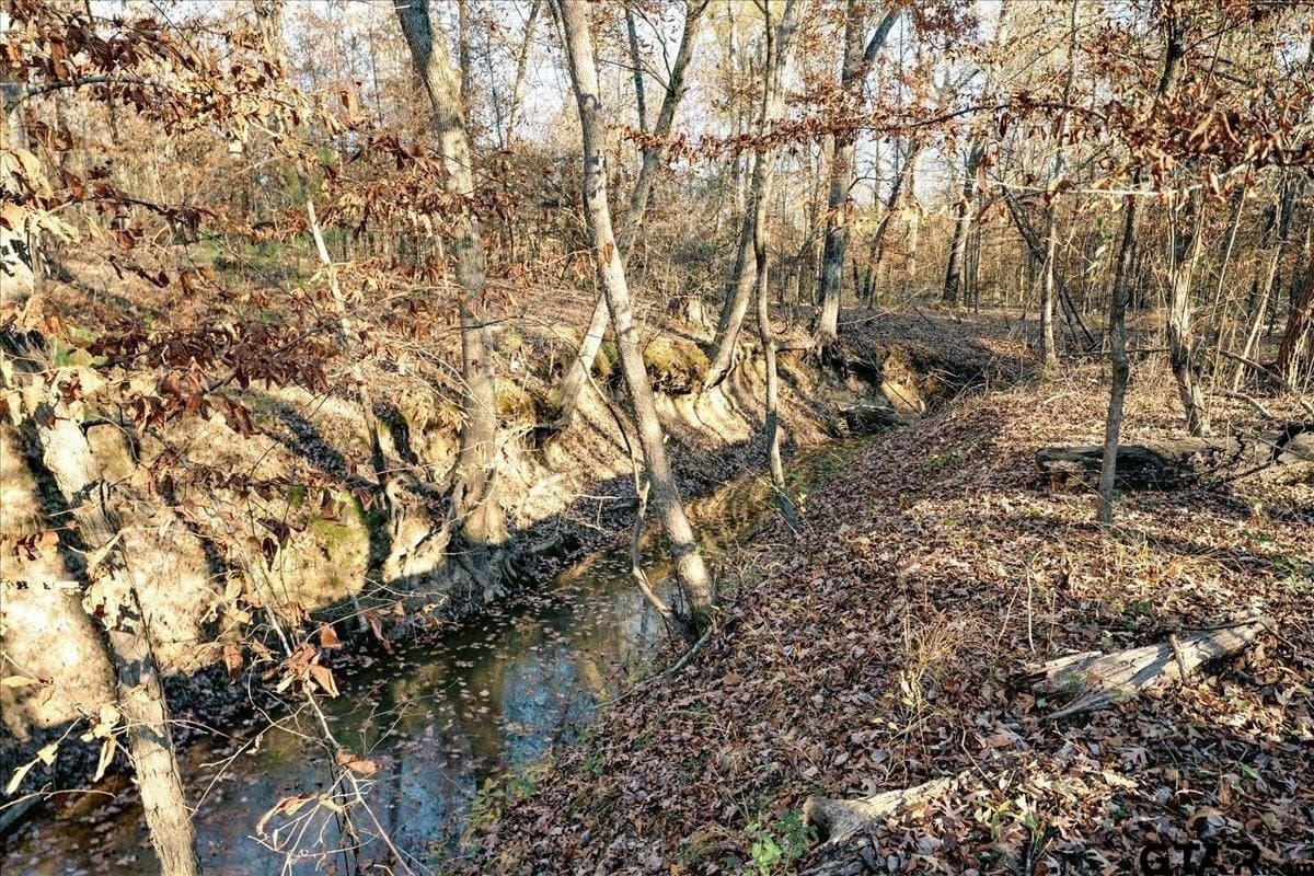 8.14 acres in Smith County - photo 29