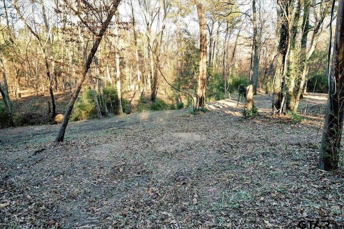 8.14 acres in Smith County - photo 27