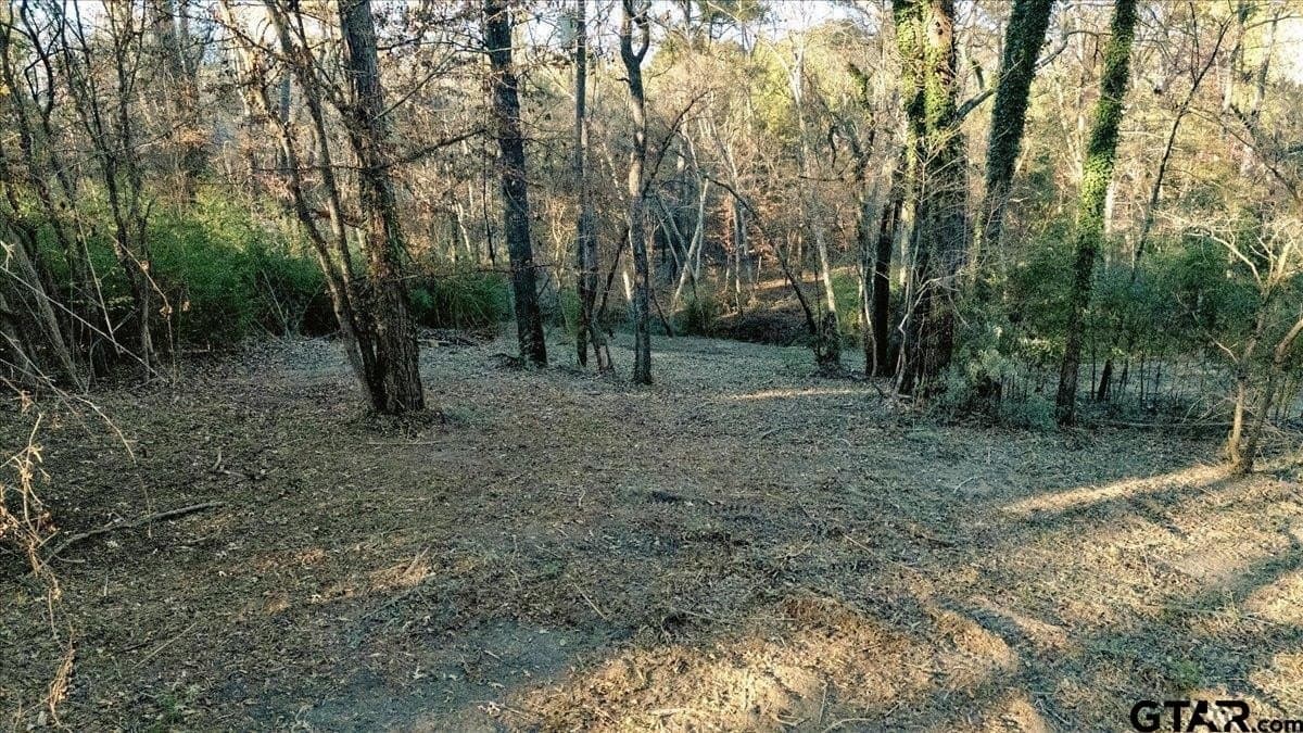 8.14 acres in Smith County - photo 6