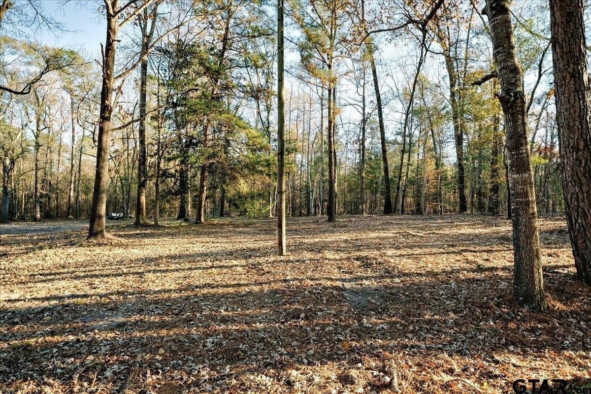 8.14 acres in Smith County - photo 22