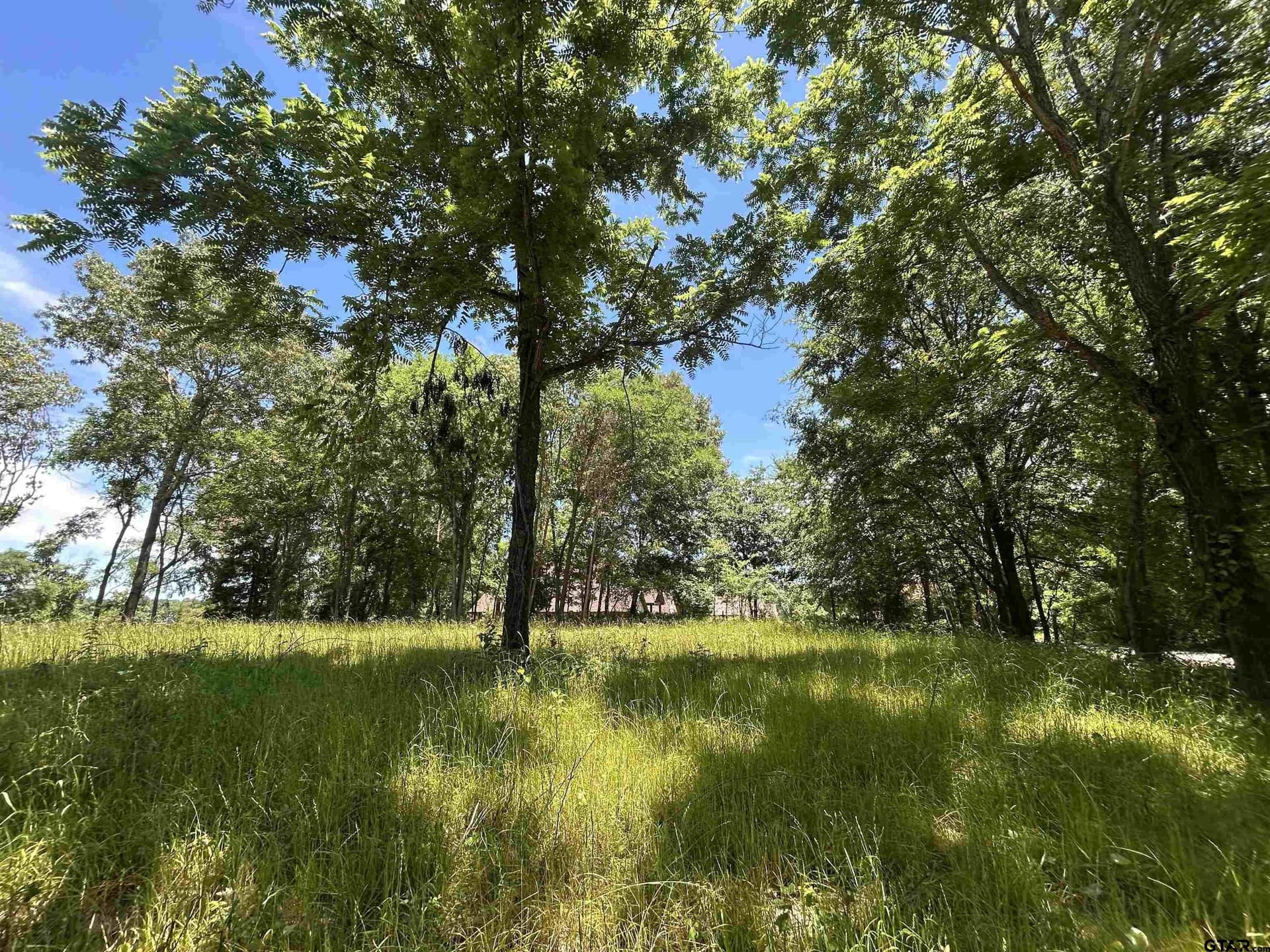 1.09 acres in Henderson County - photo 5