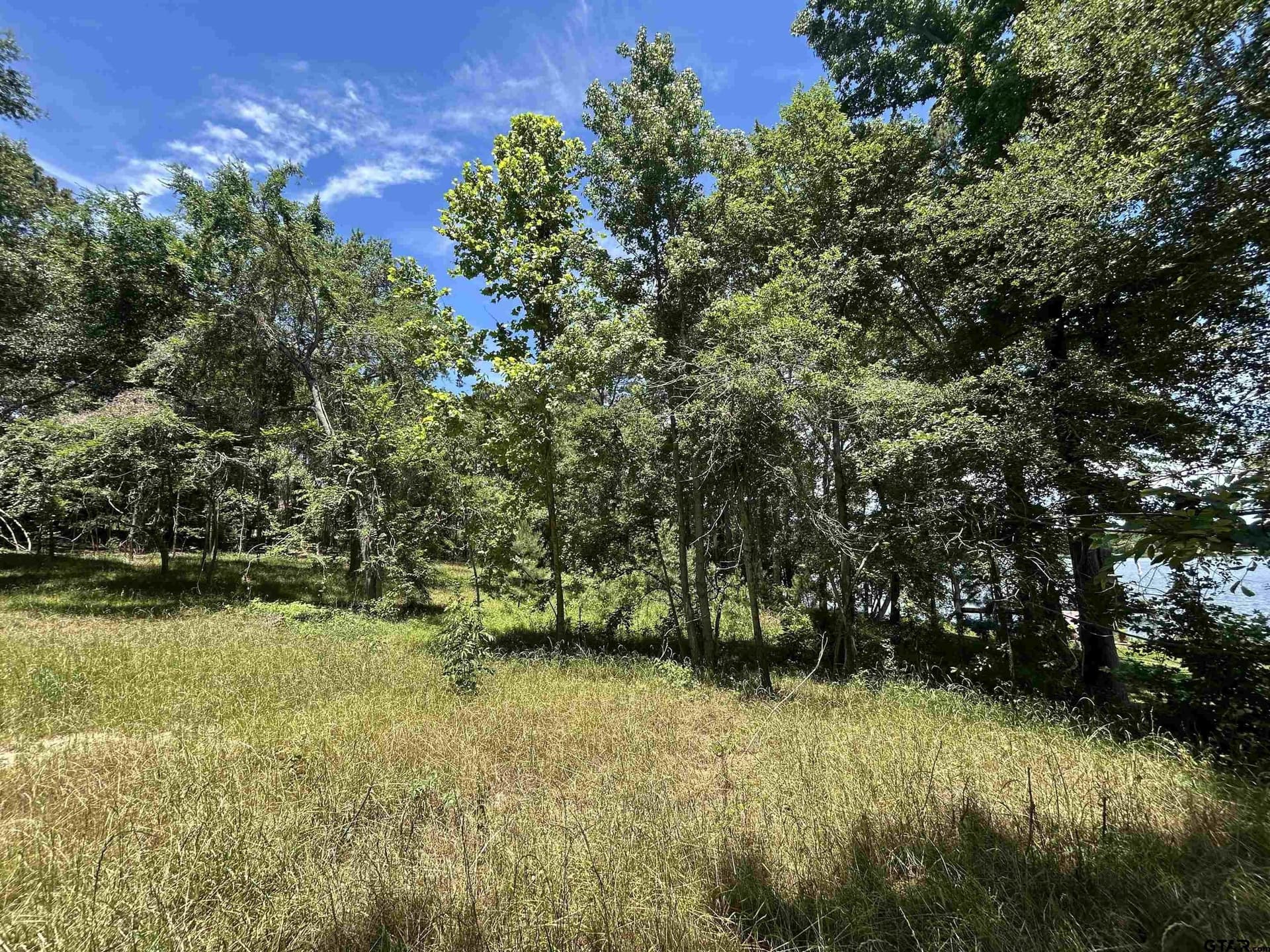 1.09 acres in Henderson County - photo 4