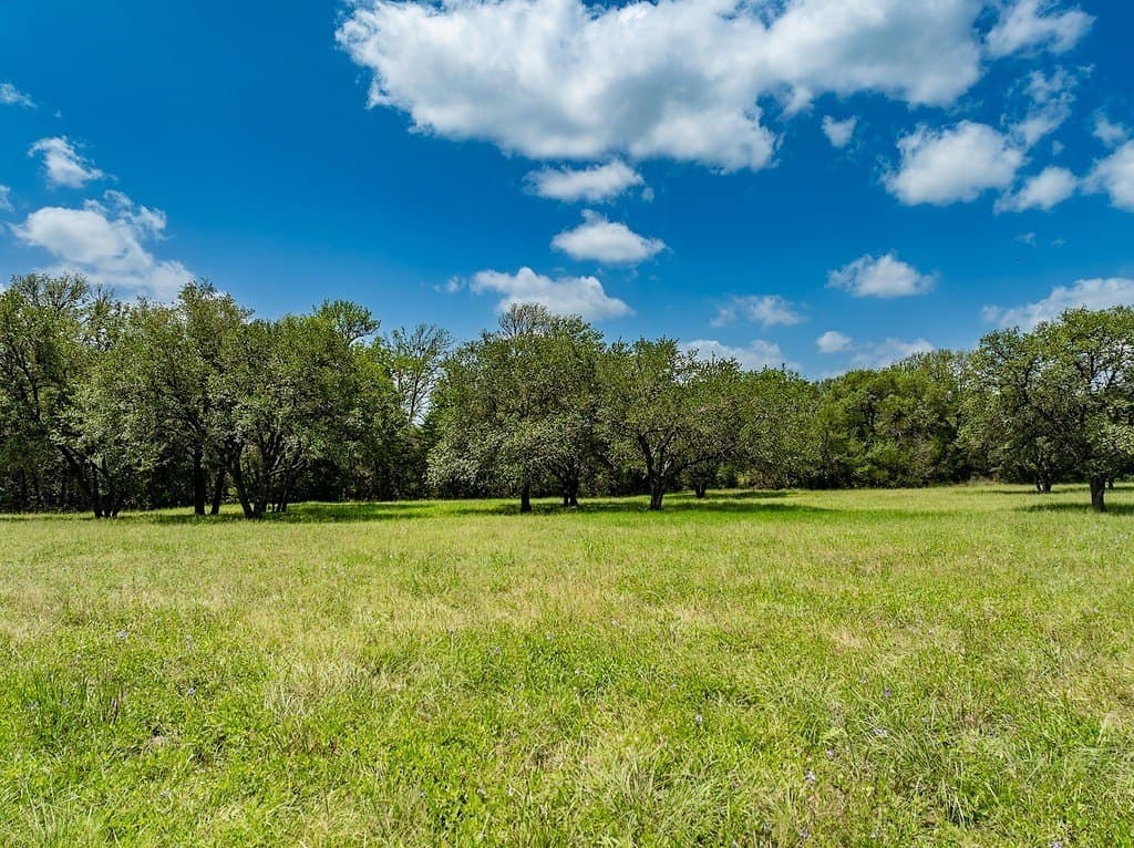 6 acres in Fayette County - photo 14