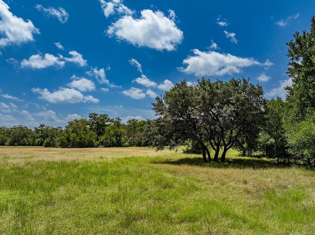 6 acres in Fayette County - photo 9