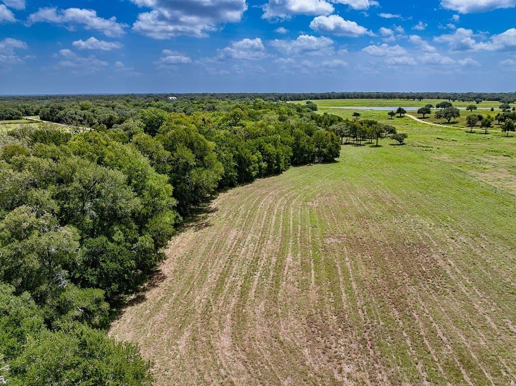 6 acres in Fayette County - photo 10